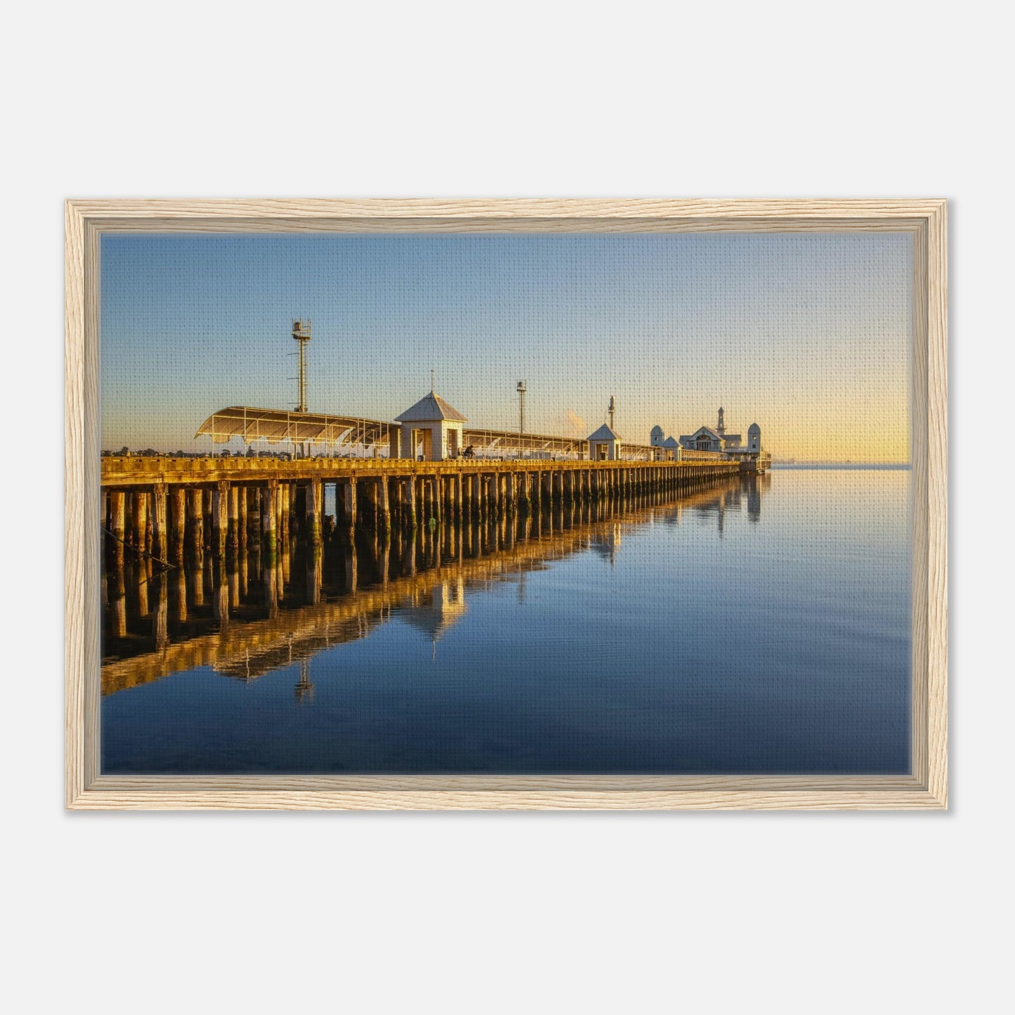 d8e7c63f-c0b0-4aaf-8521-31f995a62dd9